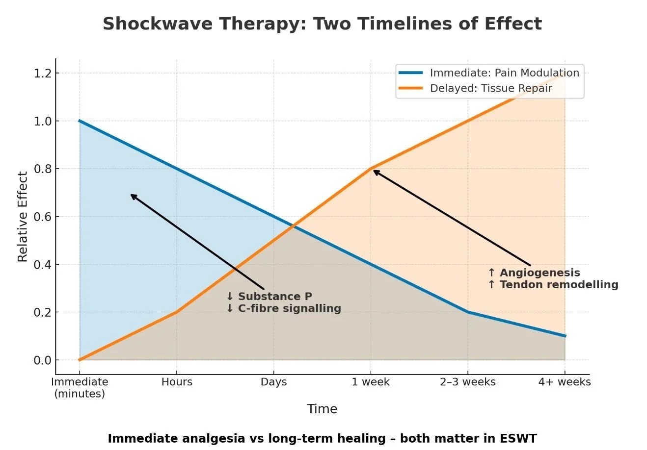 Timeline of effect for extracorporeal shockwave therapy