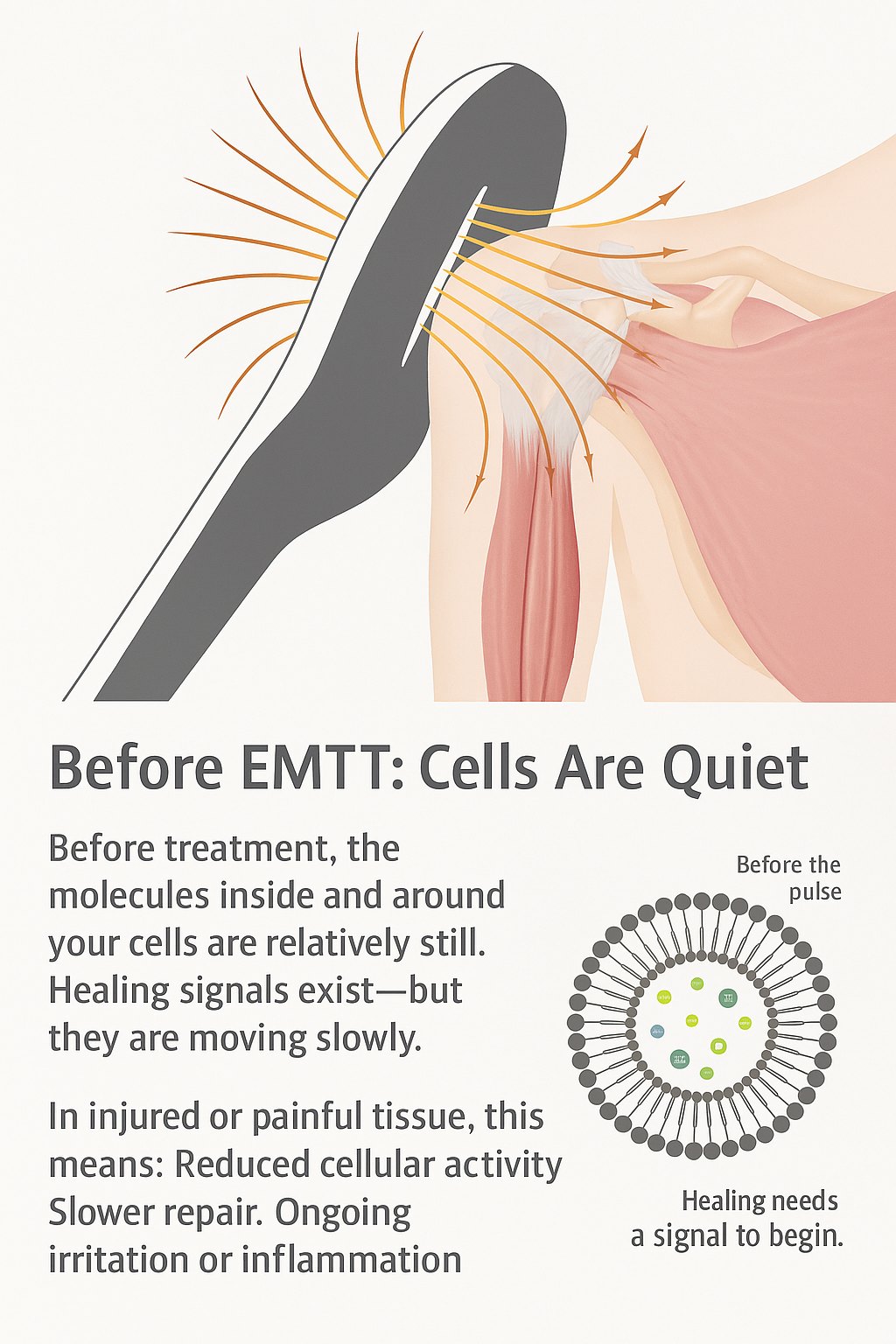 Illustration of tissue with reduced cellular activity before regenerative treatment